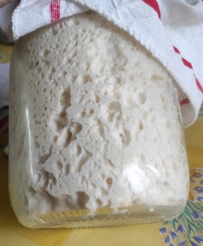 Lievito madre vero - lievito, alveoli