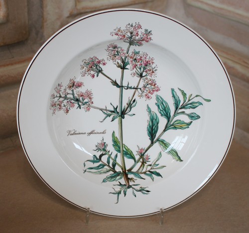 Villeroy boch b - v&b, botanica
