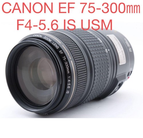 Canon 300 6 - canon, ef