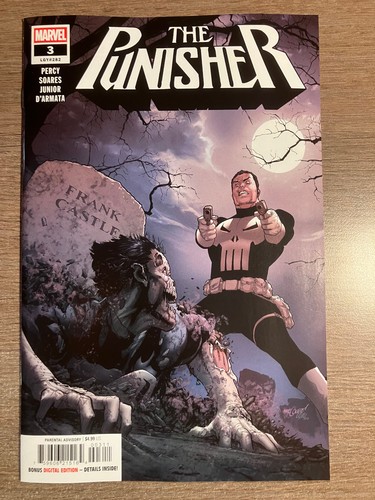 The punisher main cover - main,