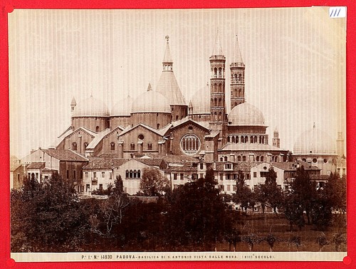 111 albumna italia padova - 111-albumna, <italia_padova>