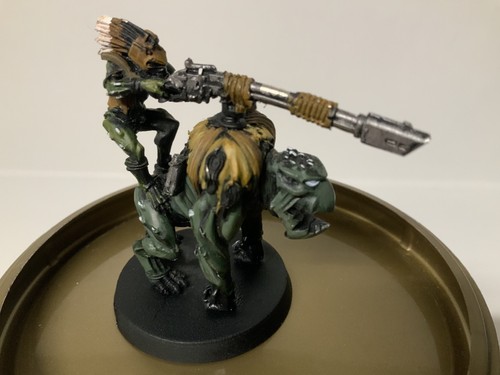 Krootox rider tau empire au - tau, t'au