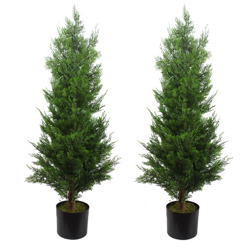 Coppia topiaria cipresso - coppia,