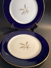 Lotto di 2 piatti Rosanthal Selb Germany blu cobalto dignità continentale