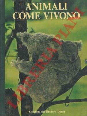 Animali come vivono - animali,