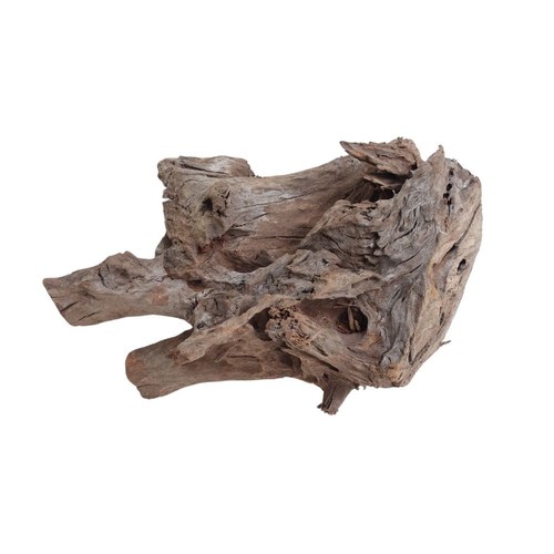 Decorazione radice acquario - , l
