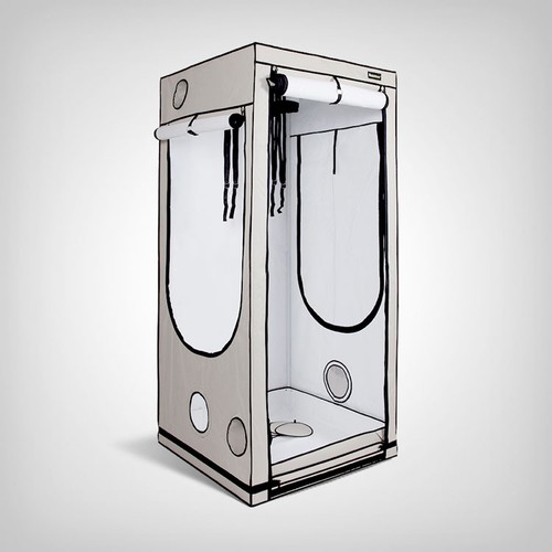 Homebox ambient q100 - homebox, q100+