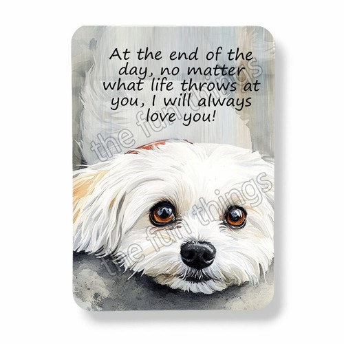 Calamita cane maltese - , ti