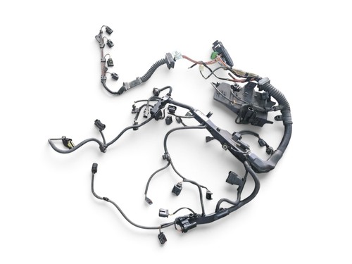 Cablaggio motore bmw dde - cablaggio,
