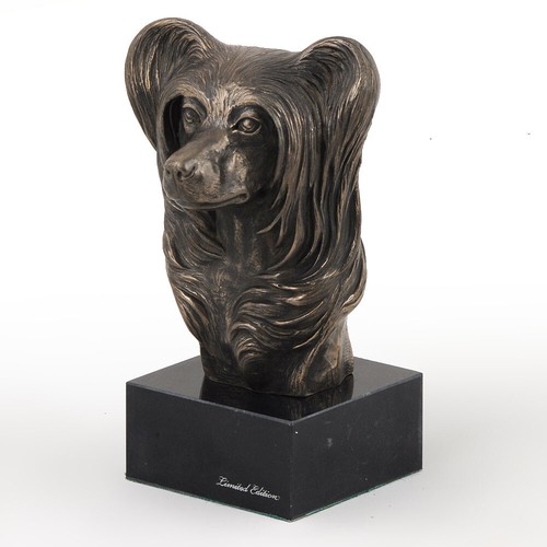 Cane cinese shih - cane,