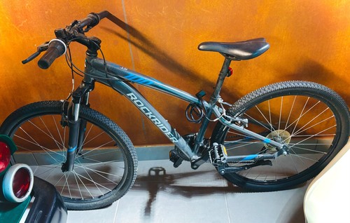Mountain bike adulto - mountain,