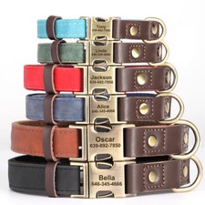 Collare in Pelle per Cane Cani