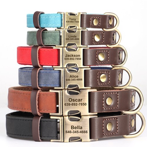 Collare pelle per cane cani - collare,