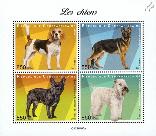 Cani beagle alsation - cani, (beagle/alsation/bulldog