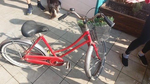Bicicletta donna - , 26"