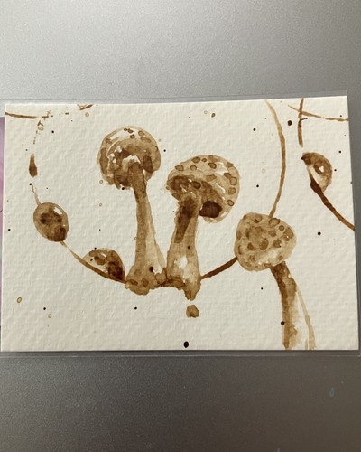 Quadro originale funghi caffè