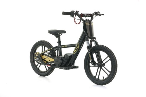 Bici elettrica balance per - bici,