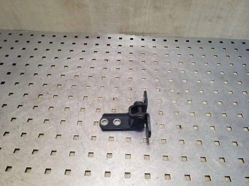 Cerniera porta anteriore