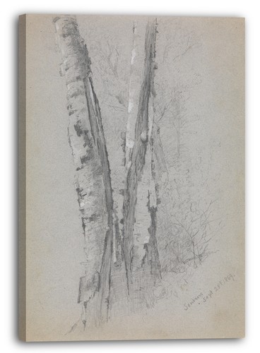 Tela cornice jervis mcentee - tela/cornice,