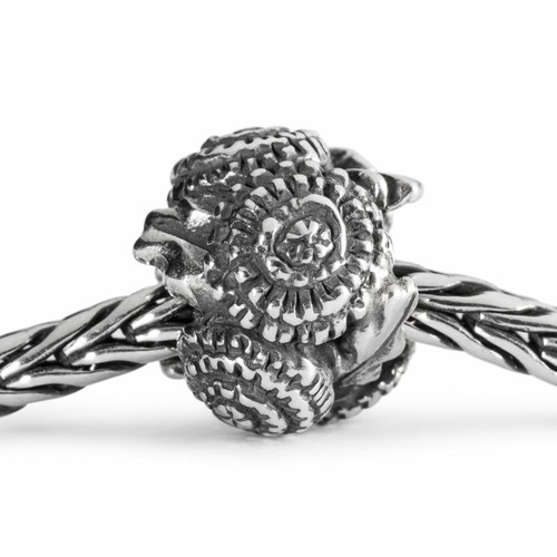 Trollbeads originale dente - originale, di