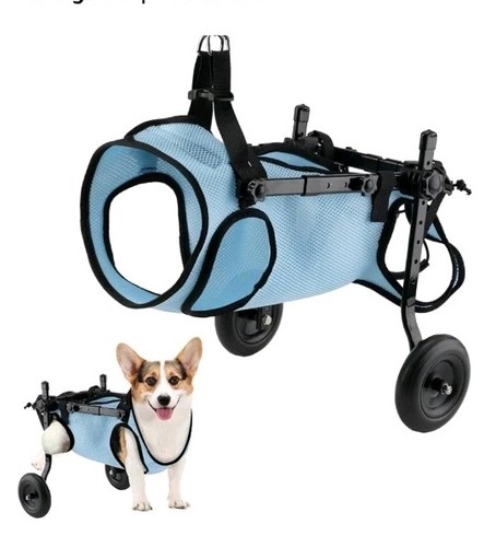 Sedia rotelle per cani - per,