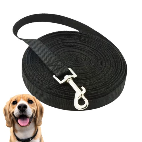 Lunghina cane metri in - 10,