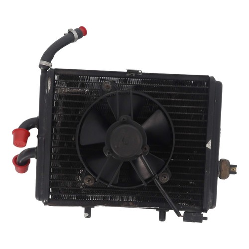 Radiatore aprilia sportcity - radiatore,