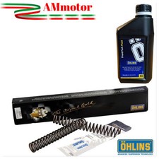 Molle forcella Ohlins Fz1 08