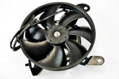 Honda hornet 600 2005 2006 - 600,