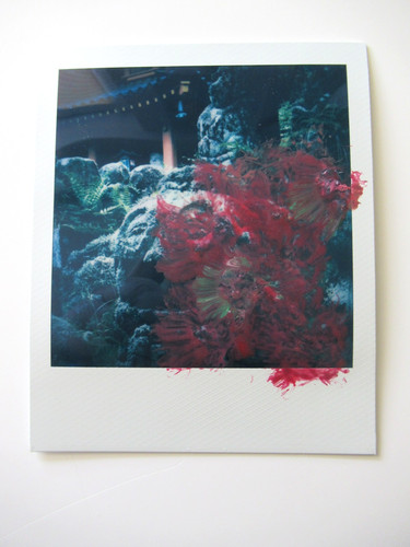 Araki polaroid originale - araki:,