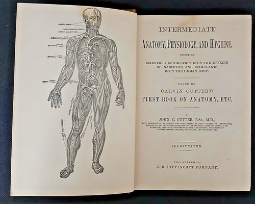 1887 intermediate anatomy - intermediate,