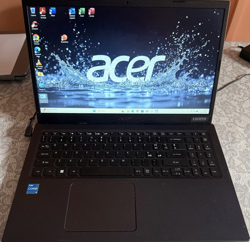 Acer extensa - acer,
