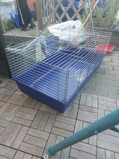 BALDO 120 Gabbia per Conigli e Cavie con Rete Metallica Conigliera 118x59x46h