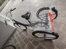 bicicletta Tre Ruote Adulto 