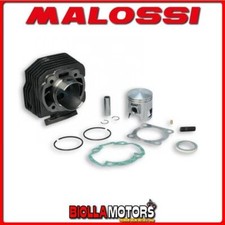 318286 gruppo termico malossi - 318286,
