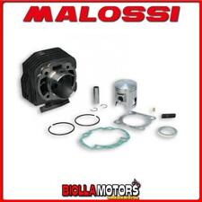 318286 GRUPPO TERMICO MALOSSI