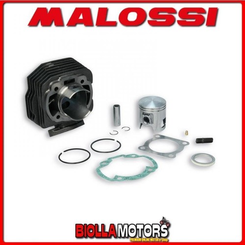 318286 gruppo termico malossi - 318286,