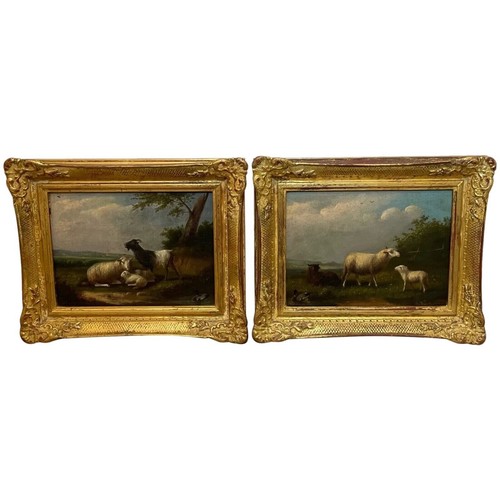 Coppia dipinti olio - dipinti, su
