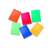 10 PEZZI Quaderni Piccoli