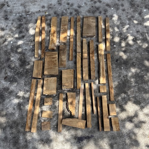 Lotto scarti legno - di, ulivo