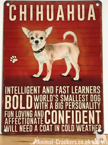 Chihuahua dog metal - metal, 20cm