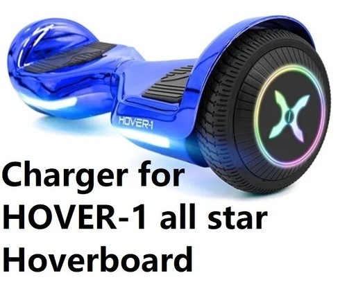 🔥Caricabatterie per hover-1