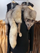 Blaufuchs Fuchs Collare