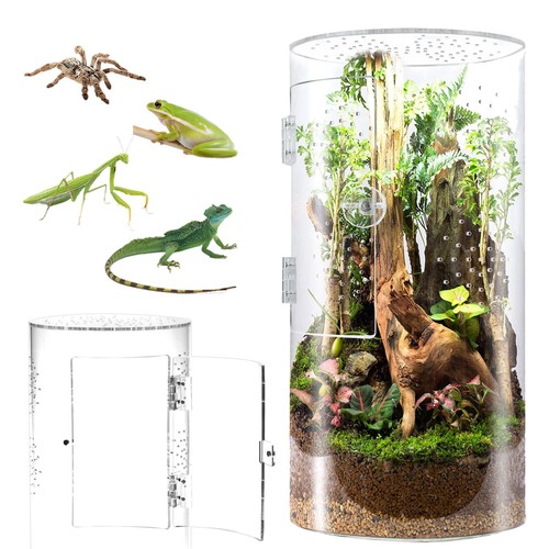 Biigdan terrario cilindrico - terrario,