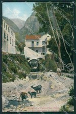 Salerno Amalfi Capre cartolina KV6727