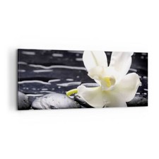 Quadro su Tela 120x50cm Spa