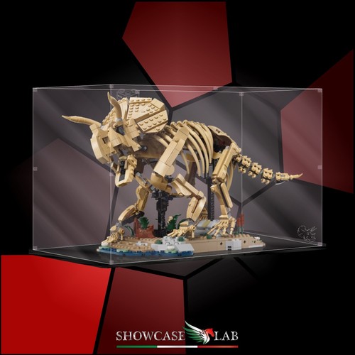 Teca plexiglass - teca, in