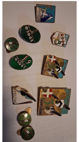 Lotto spille alpini - spille,