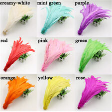  Piume di coda di gallo