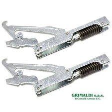 Coppia cerniere molle porta - molle,